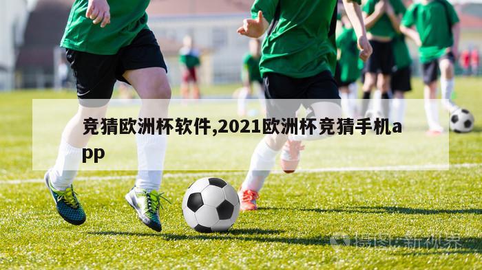 竞猜欧洲杯软件,2021欧洲杯竞猜手机app